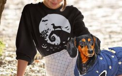 Dachshund Sweater For Human Wear And Other Cool Doxie Clothing