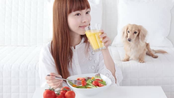 is orange juice good for dogs