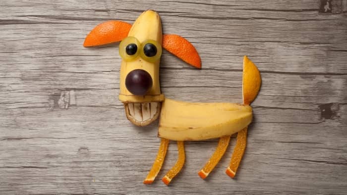 can dogs eat banana peels