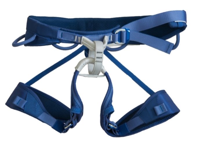 dachshund puppy harness