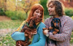 Introducing A Second Dachshund – 6 Crucial Tips
