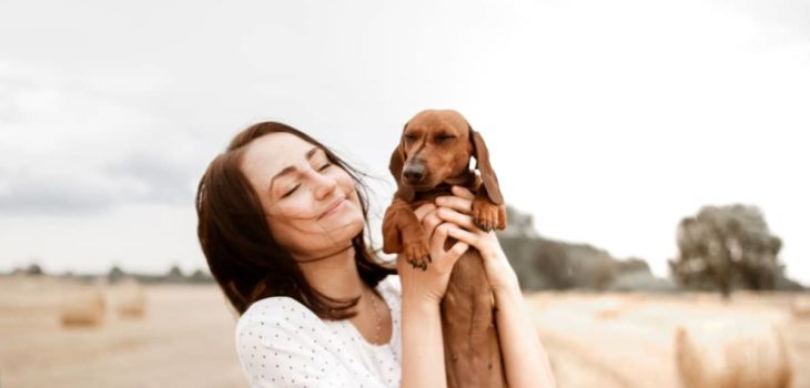 Introducing Mini Dachshund Puppy Care Tips and Tricks