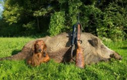 What Were Dachshunds Bred To Do Originally And Why Does That Matter Today?