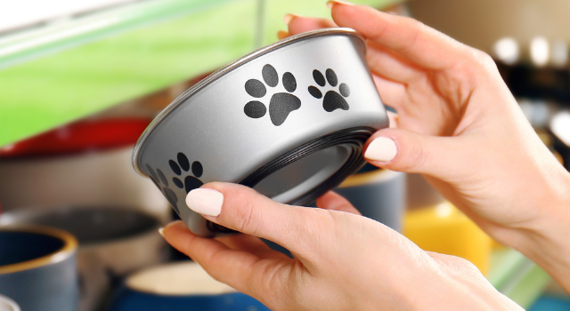 What Are The 15 Best Food Bowls For Dachshunds?