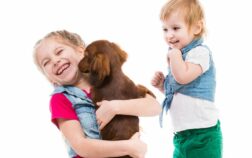 Are Dachshunds Good With Kids? The Ultimate Guide!