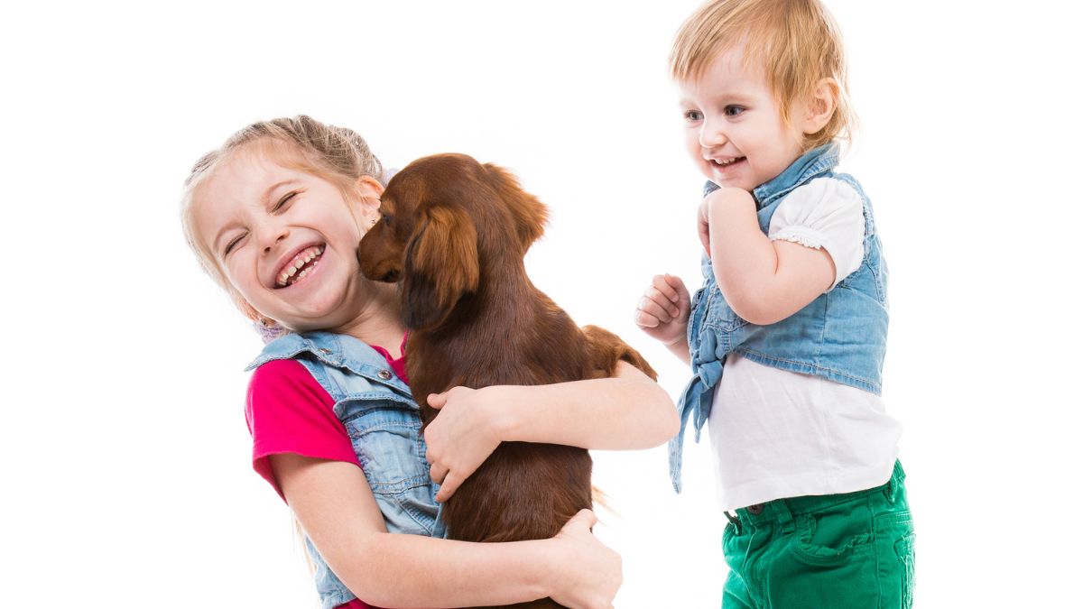 Are Dachshunds Good With Kids? The Ultimate Guide! Sweet Dachshunds